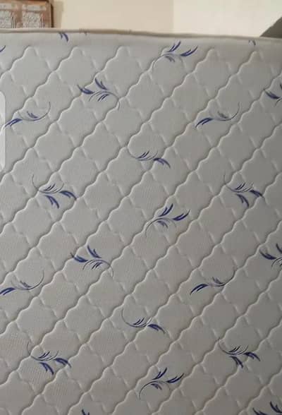 diamond foam 8 inch03214109800)
