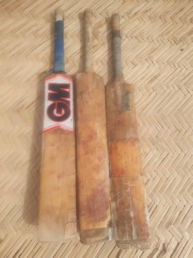 bat for sale