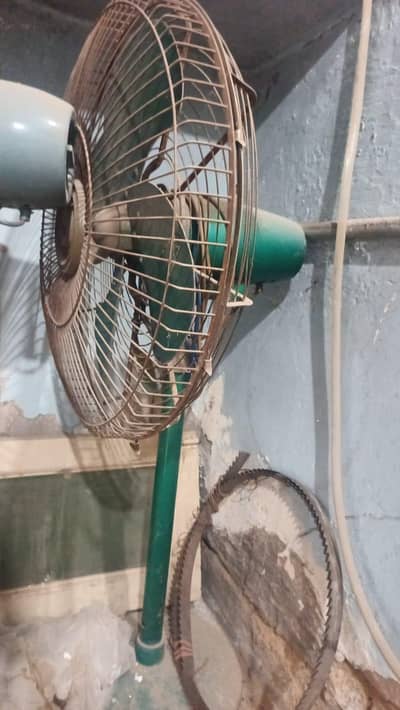pedisital fan