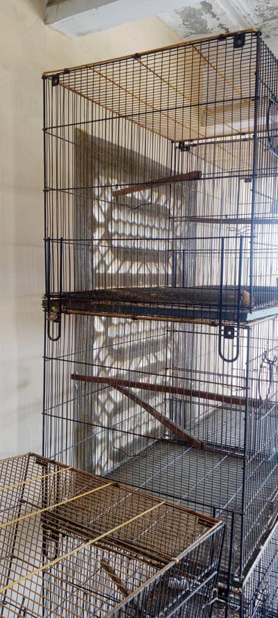 9 single portion cage for sale