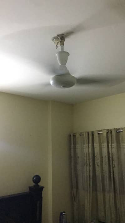 Ceiling fans