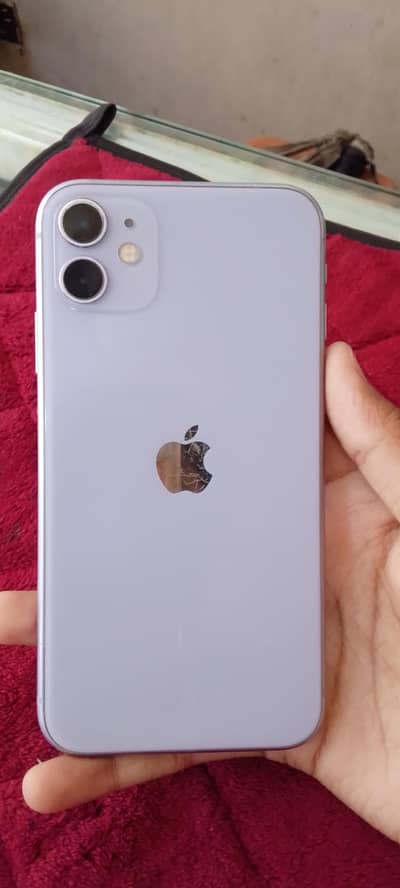 Apple iPhone 11