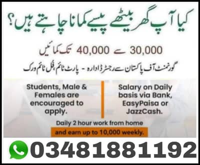 Online Earning