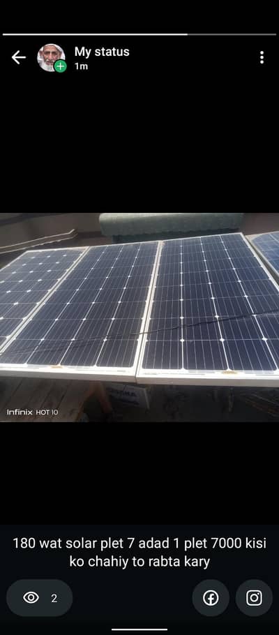solar paltes