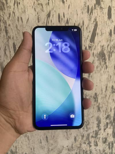 Apple iPhone 11 Pro Max just panel change