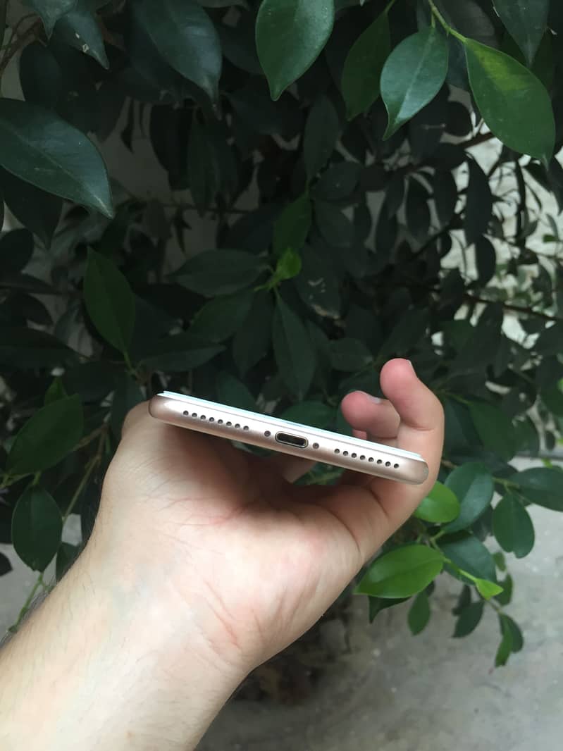Apple iPhone 8 Plus 3