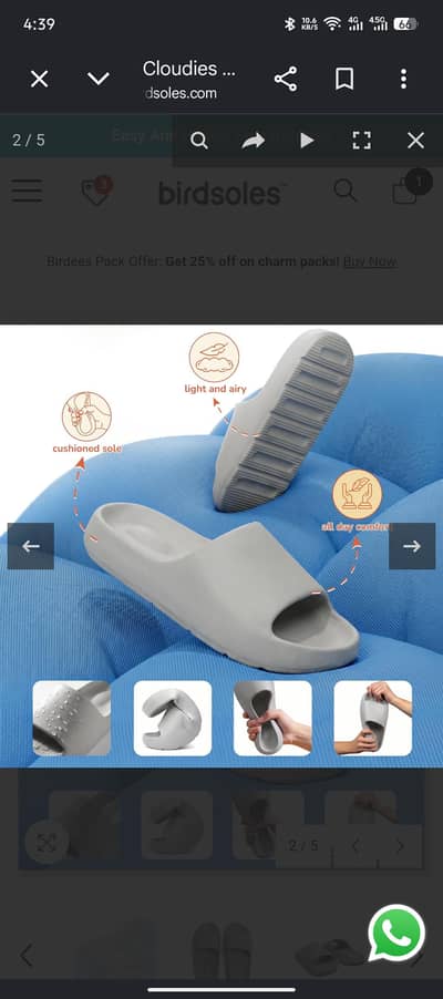 birdsoles slippers