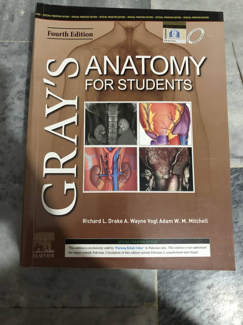 Anatomy 1
