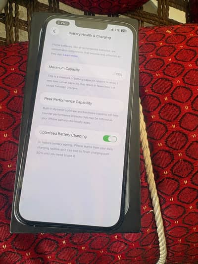 Apple iPhone 13 Pro Max