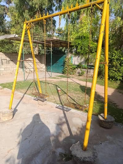 Pure Iron Swing
