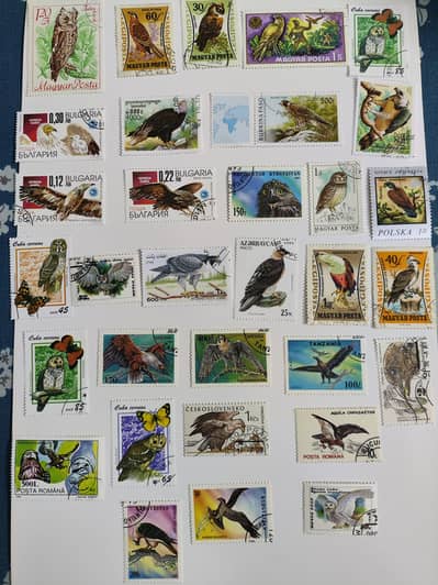 Birds of prey stamps