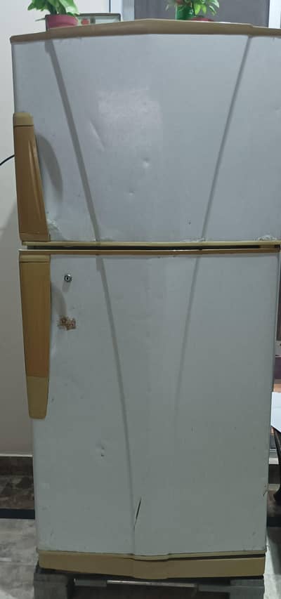 waves refrigerator