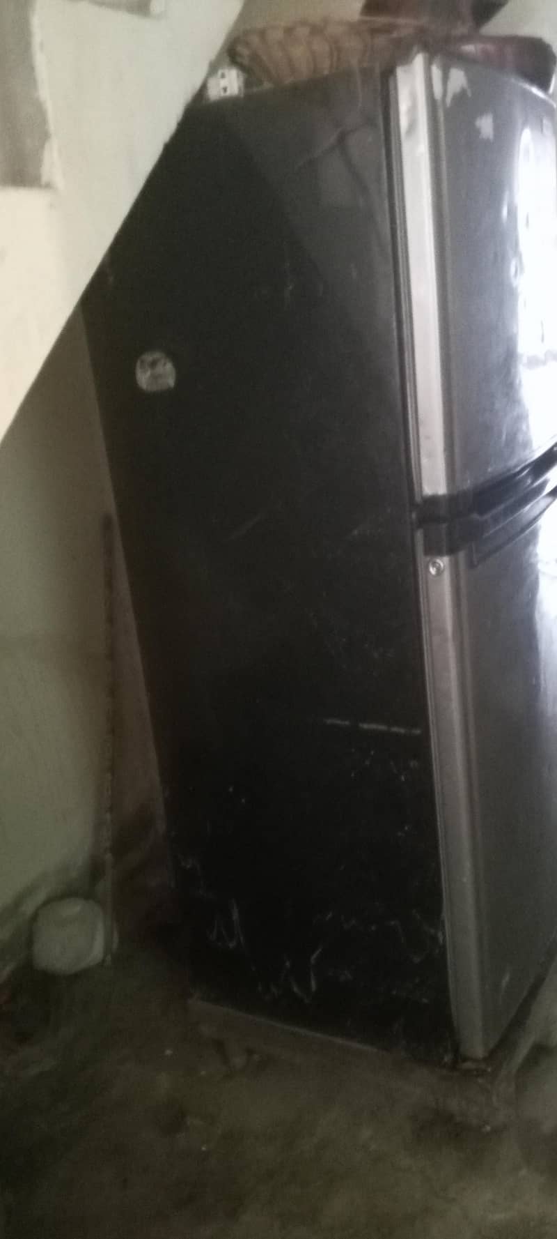 fridge 6
