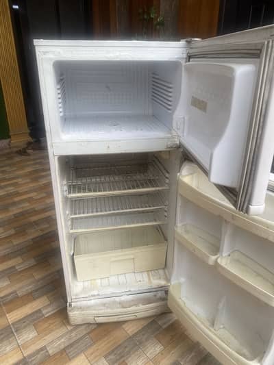 PEL FREEJ VERY GOOD CONDITION ONLY 32000