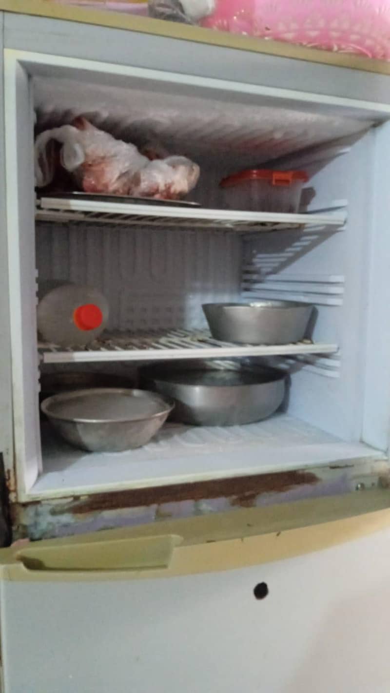 Fridge 1