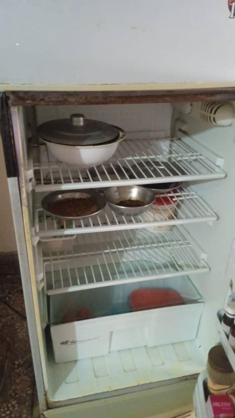 Fridge 2