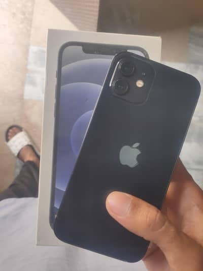 Apple iPhone 12