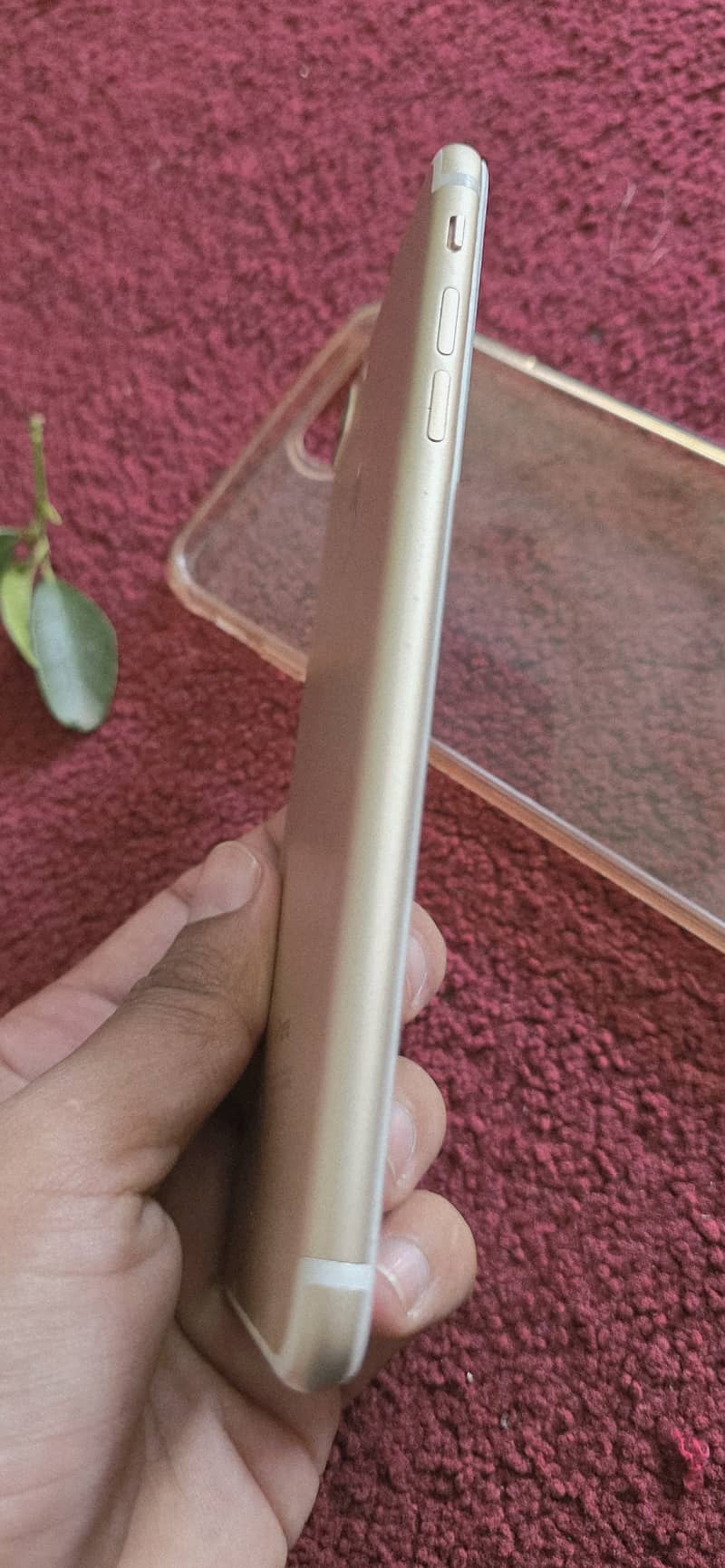 Apple iPhone 7 Plus 2