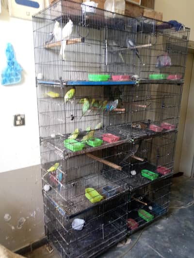 1.5 by 2 or 1.5 by 3 cages available for sale