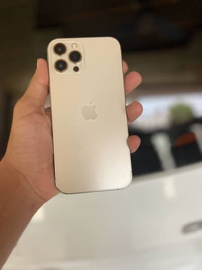 Apple iPhone 12 Pro Max