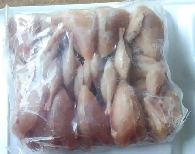 Zinda Farmi Batair or Unka gosht dastyab hai — photo 2