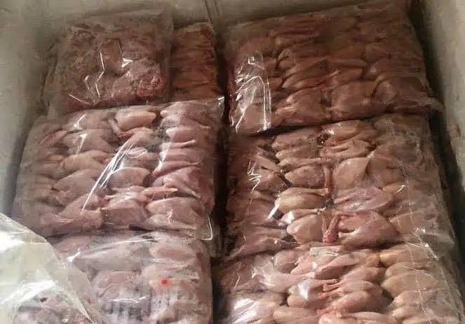 Zinda Farmi Batair or Unka gosht dastyab hai — photo 3