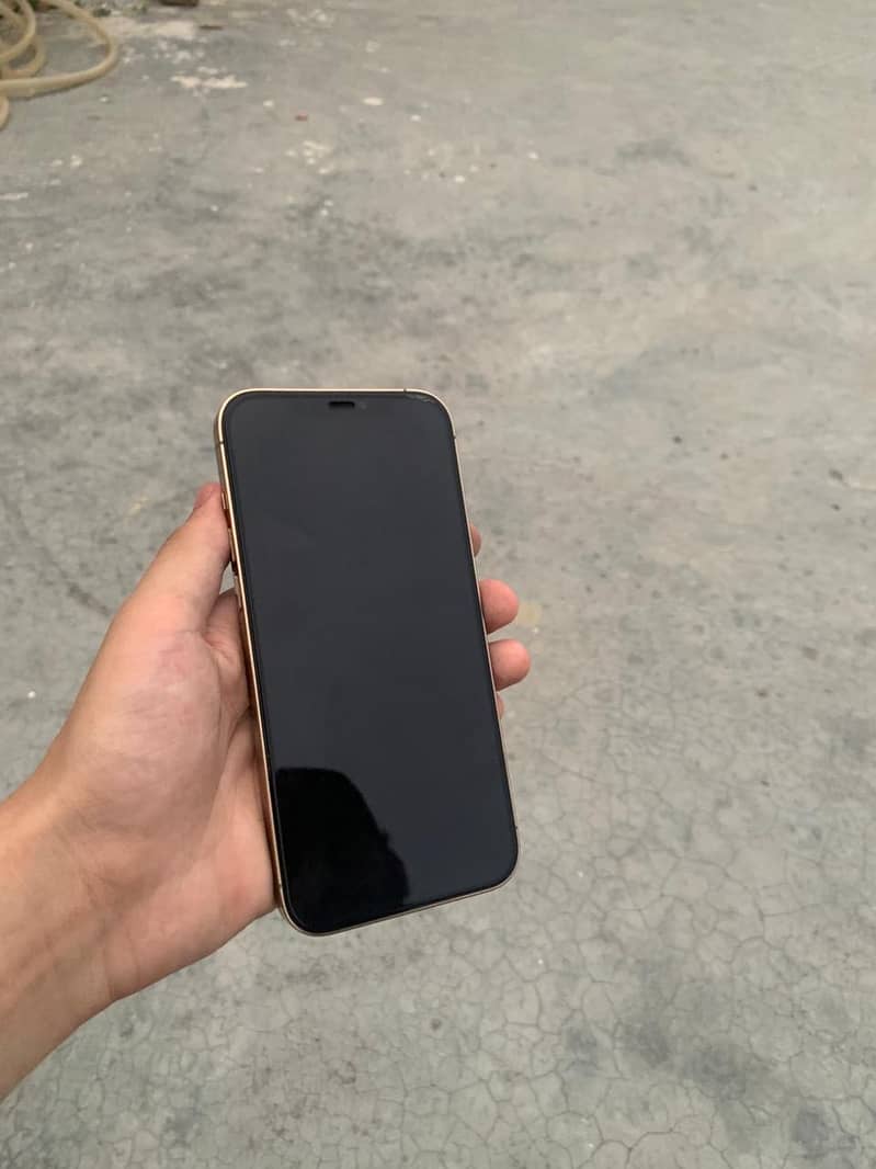 iPhone 12 pro max 1