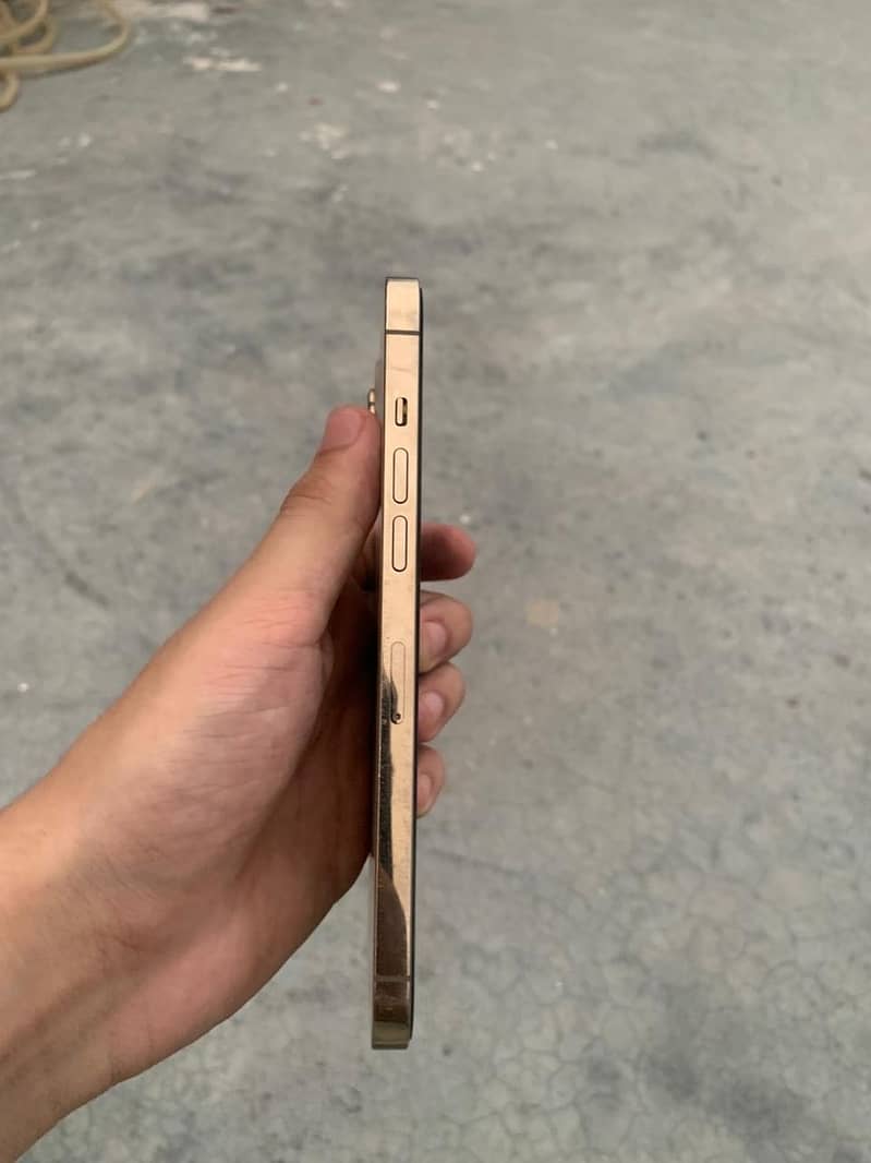 iPhone 12 pro max 2