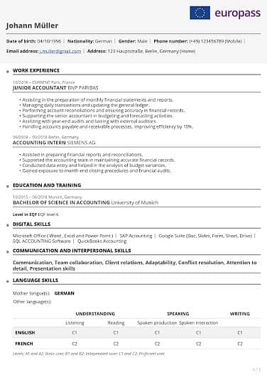 Professional CV Maker