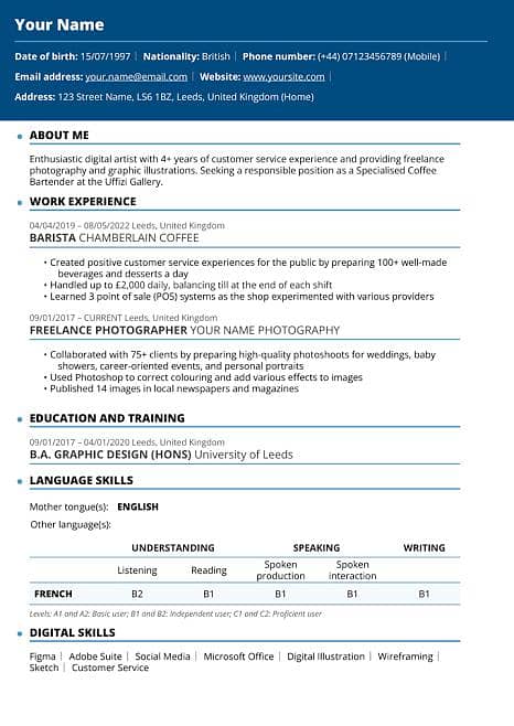Professional CV Maker 1