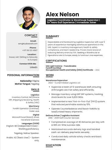 Professional CV Maker 3