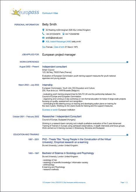 Professional CV Maker 4