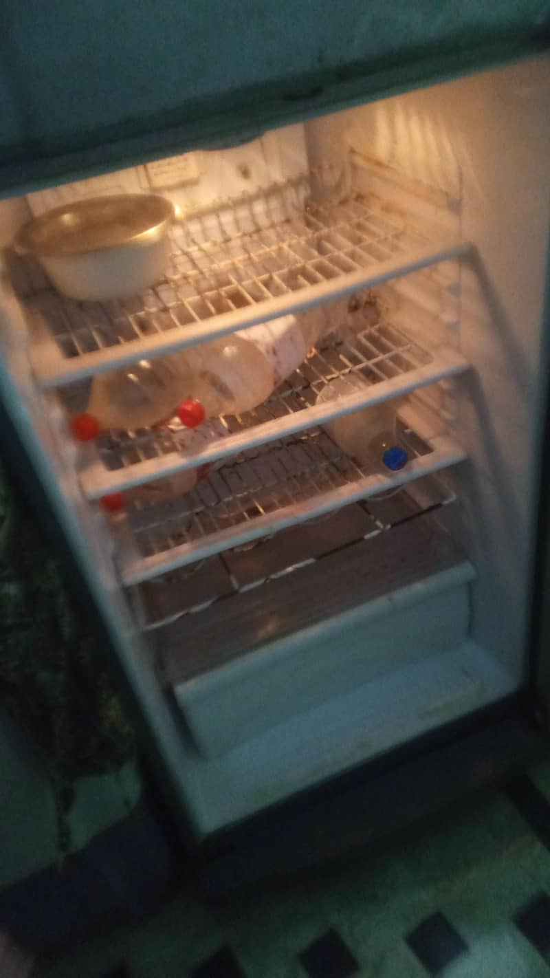 freezer 1