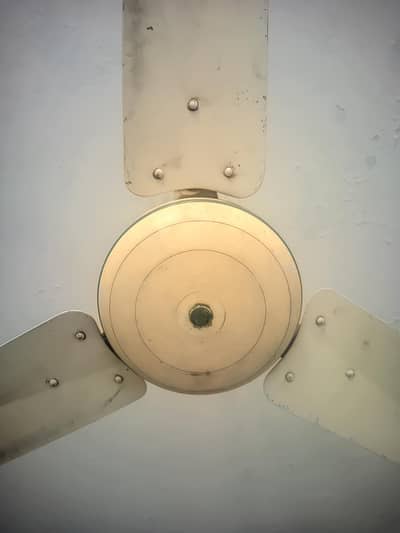 High Quality Younas Fan for Sale