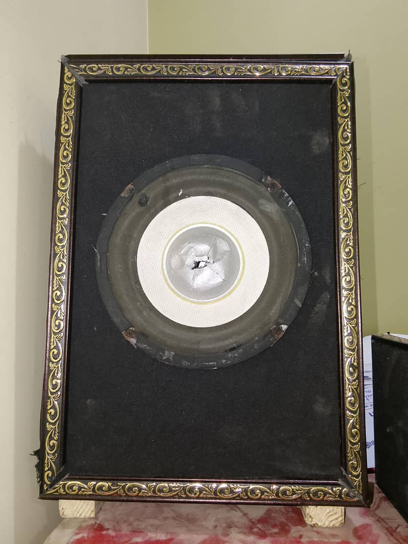 Speaker 8