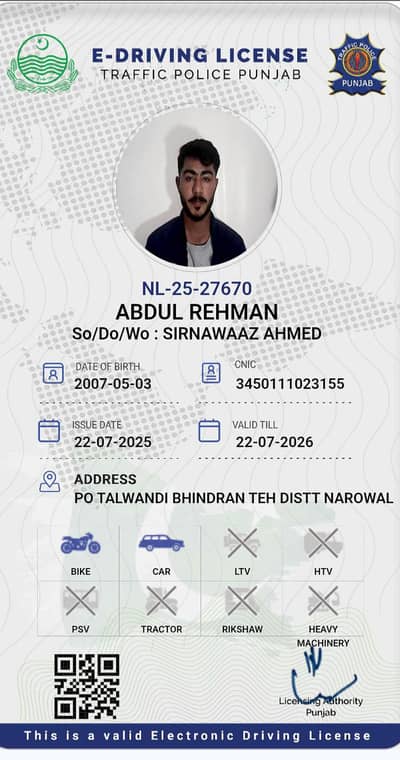 professional driver for full time