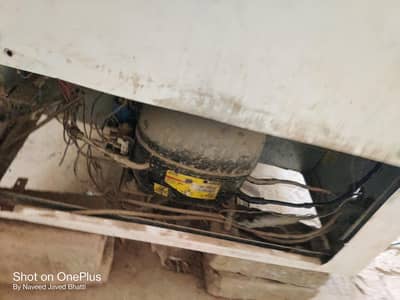 Deep Freezer