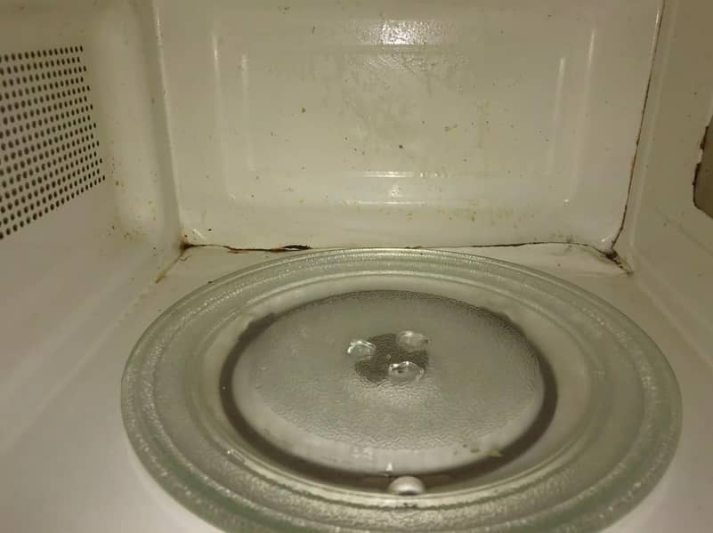 MicroWave 2