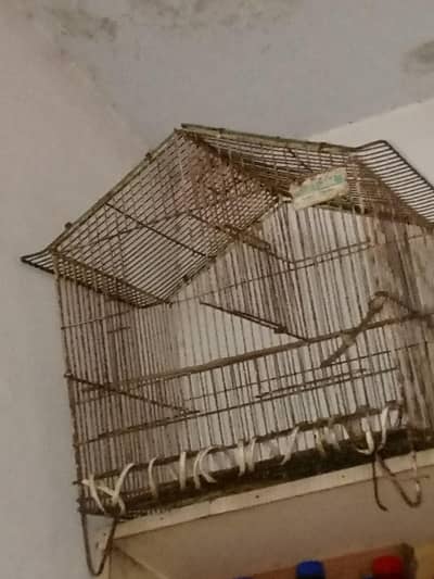 Cage For Sale