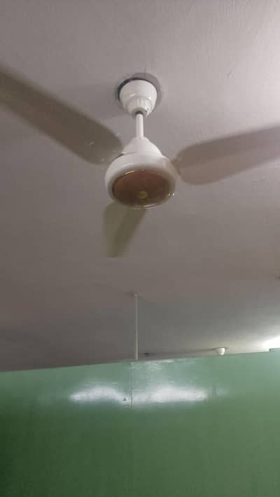 New AC DC Ceilling fans for sale