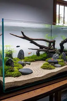 aquarium sand , gravel, aquarium live plants , aquarium soil, fishes — photo 4