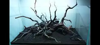 aquarium sand , gravel, aquarium live plants , aquarium soil, fishes — photo 9