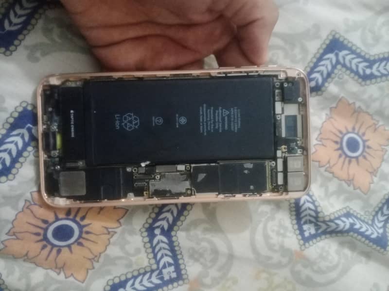Apple iPhone 8 Plus 0