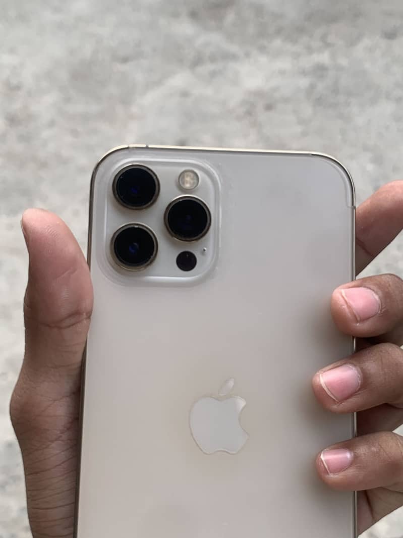 Apple iPhone 12 Pro Max 2
