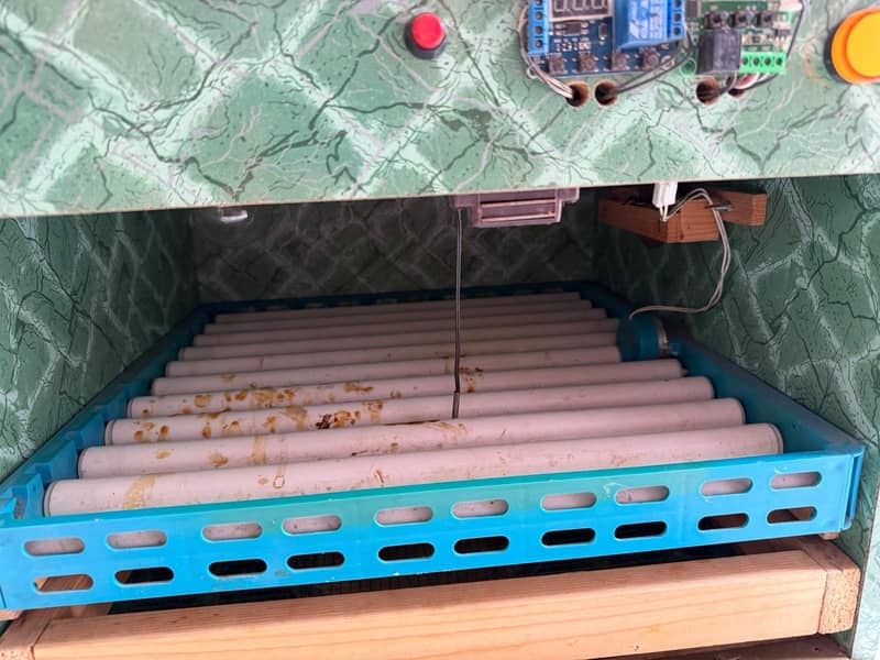 Egg hatching incubator 4