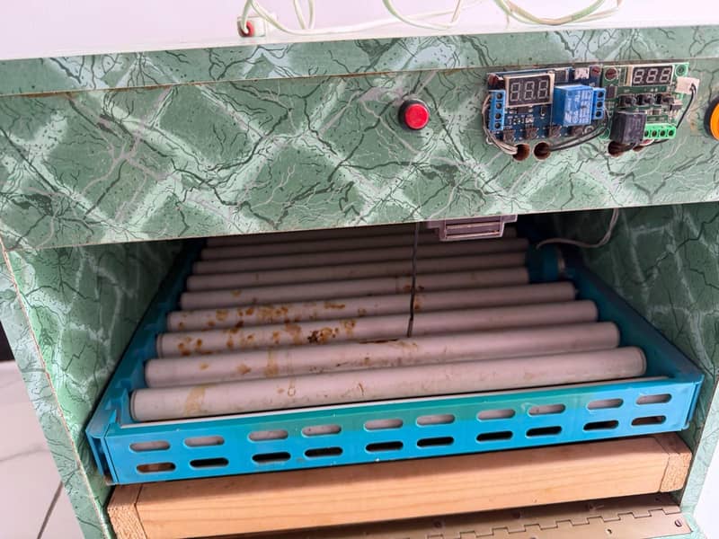 Egg hatching incubator 5