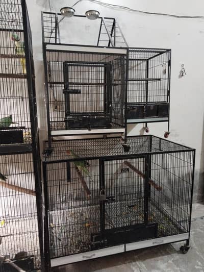 Raw or cages