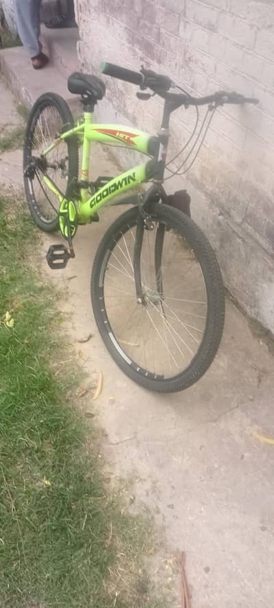 Chinese Bicycle, needs repairs