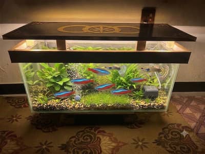 Glass Fish Aquarium with Custom Lighted Hood & Oxygen Pump