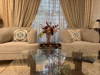 Tv lounge sofa set